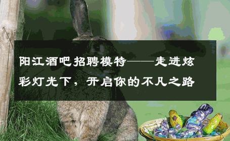 阳江酒吧招聘模特——走进炫彩灯光下，开启你的不凡之路