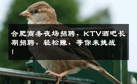 合肥商务夜场招聘，KTV酒吧长期招聘，轻松赚，等你来挑战！