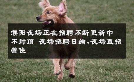 濮阳夜场正在招聘不断更新中不封顶 夜场招聘日结,夜场直招管住