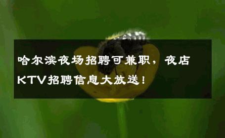 哈尔滨夜场招聘可兼职，夜店KTV招聘信息大放送！