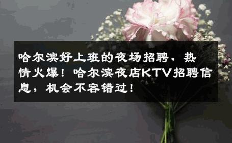 哈尔滨好上班的夜场招聘，热情火爆！哈尔滨夜店KTV招聘信息，机会不容错过！