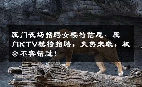 厦门夜场招聘女模特信息，厦门KTV模特招聘，火热来袭，机会不容错过！