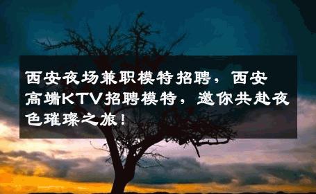 西安夜场兼职模特招聘，西安高端KTV招聘模特，邀你共赴夜色璀璨之旅！