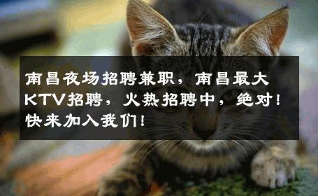 南昌夜场招聘兼职，南昌最大KTV招聘，火热招聘中，绝对！快来加入我们！