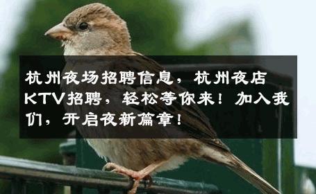 杭州夜场招聘信息，杭州夜店KTV招聘，轻松等你来！加入我们，开启夜新篇章！