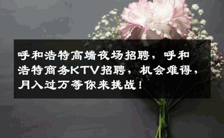 呼和浩特高端夜场招聘，呼和浩特商务KTV招聘，机会难得，月入过万等你来挑战！