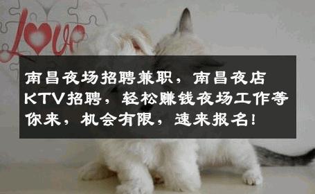 南昌夜场招聘兼职，南昌夜店KTV招聘，轻松赚钱夜场工作等你来，机会有限，速来报名！