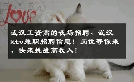 武汉工资高的夜场招聘，武汉ktv兼职招聘信息！岗位等你来，快来挑战高收入！