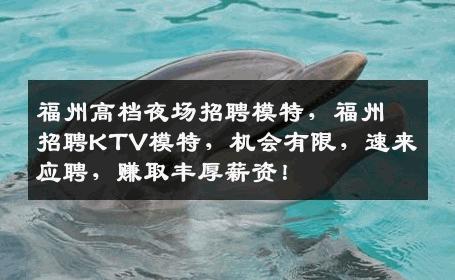 福州高档夜场招聘模特，福州招聘KTV模特，机会有限，速来应聘，赚取丰厚薪资！