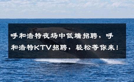 呼和浩特夜场中低端招聘，呼和浩特KTV招聘，轻松等你来！