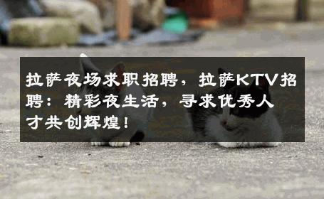 拉萨夜场求职招聘，拉萨KTV招聘：精彩夜生活，寻求优秀人才共创辉煌！