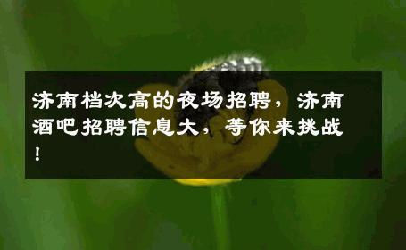 济南档次高的夜场招聘，济南酒吧招聘信息大，等你来挑战！