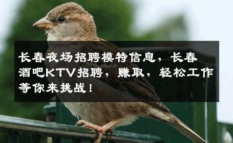 长春夜场招聘模特信息，长春酒吧KTV招聘，赚取，轻松工作等你来挑战！