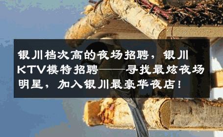 银川档次高的夜场招聘，银川KTV模特招聘——寻找最炫夜场明星，加入银川最豪华夜店！