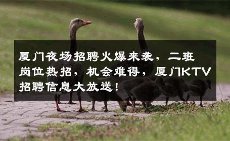 厦门夜场招聘火爆来袭，二班岗位热招，机会难得，厦门KTV招聘信息大放送！