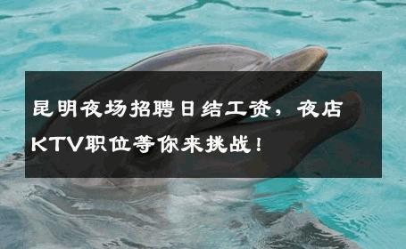昆明夜场招聘日结工资，夜店KTV职位等你来挑战！