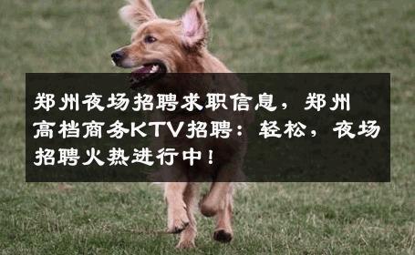 郑州夜场招聘求职信息，郑州高档商务KTV招聘：轻松，夜场招聘火热进行中！