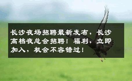 长沙夜场招聘最新发布，长沙高档夜总会招聘！福利，立即加入，机会不容错过！