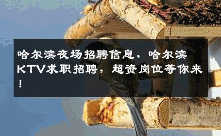 哈尔滨夜场招聘信息，哈尔滨KTV求职招聘，超资岗位等你来！