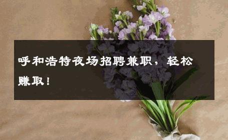 呼和浩特夜场招聘兼职，轻松赚取！