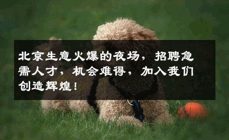 北京生意火爆的夜场，招聘急需人才，机会难得，加入我们创造辉煌！