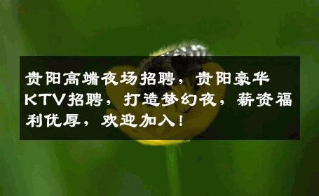 贵阳高端夜场招聘，贵阳豪华KTV招聘，打造梦幻夜，薪资福利优厚，欢迎加入！