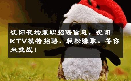 沈阳夜场兼职招聘信息，沈阳KTV模特招聘，轻松赚取，等你来挑战！