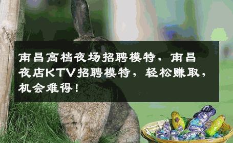 南昌高档夜场招聘模特，南昌夜店KTV招聘模特，轻松赚取，机会难得！