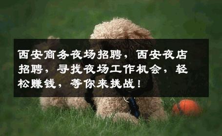 西安商务夜场招聘，西安夜店招聘，寻找夜场工作机会，轻松赚钱，等你来挑战！