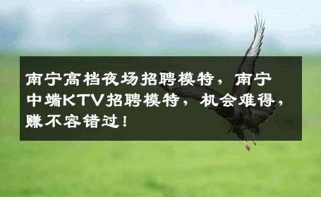 南宁高档夜场招聘模特，南宁中端KTV招聘模特，机会难得，赚不容错过！