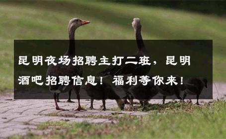 昆明夜场招聘主打二班，昆明酒吧招聘信息！福利等你来！