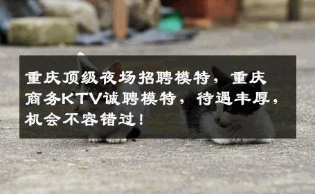 重庆顶级夜场招聘模特，重庆商务KTV诚聘模特，待遇丰厚，机会不容错过！