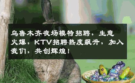 乌鲁木齐夜场模特招聘，生意火爆，KTV招聘热度飙升，加入我们，共创辉煌！