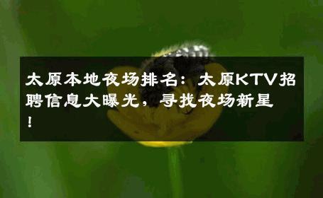 太原本地夜场排名：太原KTV招聘信息大曝光，寻找夜场新星！