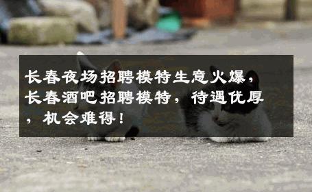 长春夜场招聘模特生意火爆，长春酒吧招聘模特，待遇优厚，机会难得！