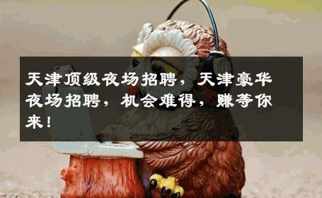 天津顶级夜场招聘，天津豪华夜场招聘，机会难得，赚等你来！