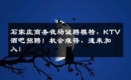 石家庄商务夜场诚聘模特，KTV酒吧招聘！机会难得，速来加入！