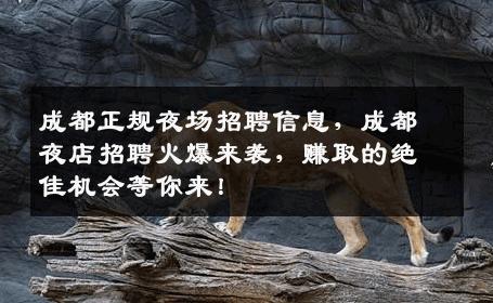 成都正规夜场招聘信息，成都夜店招聘火爆来袭，赚取的绝佳机会等你来！