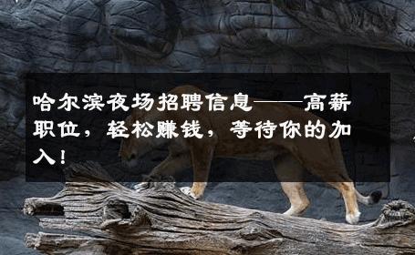 哈尔滨夜场招聘信息——高薪职位，轻松赚钱，等待你的加入！