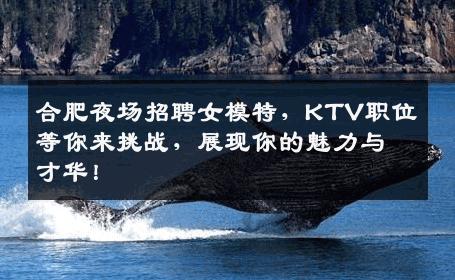 合肥夜场招聘女模特，KTV职位等你来挑战，展现你的魅力与才华！