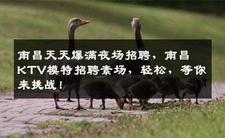 南昌天天爆满夜场招聘，南昌KTV模特招聘素场，轻松，等你来挑战！
