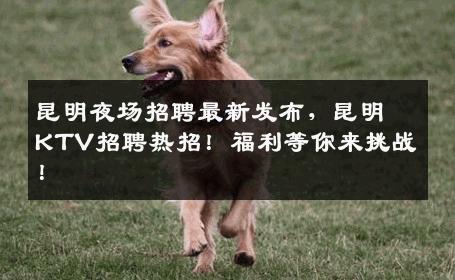 昆明夜场招聘最新发布，昆明KTV招聘热招！福利等你来挑战！