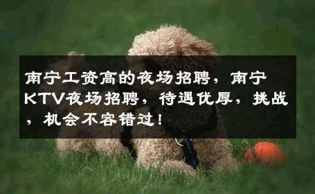 南宁工资高的夜场招聘，南宁KTV夜场招聘，待遇优厚，挑战，机会不容错过！