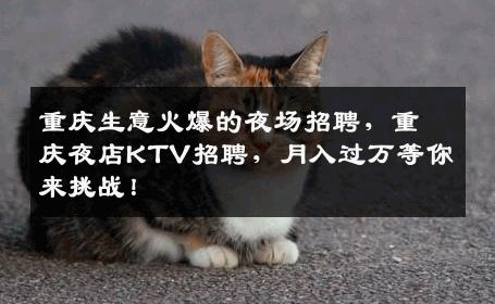 重庆生意火爆的夜场招聘，重庆夜店KTV招聘，月入过万等你来挑战！