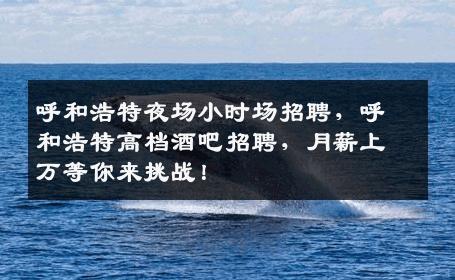 呼和浩特夜场小时场招聘，呼和浩特高档酒吧招聘，月薪上万等你来挑战！