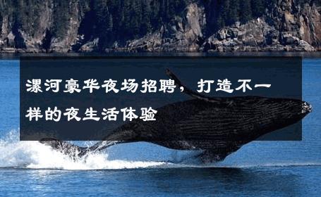 漯河豪华夜场招聘，打造不一样的夜生活体验