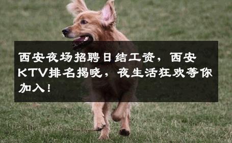 西安夜场招聘日结工资，西安KTV排名揭晓，夜生活狂欢等你加入！