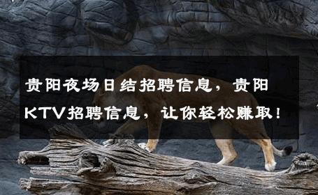 贵阳夜场日结招聘信息，贵阳KTV招聘信息，让你轻松赚取！