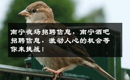南宁夜场招聘信息，南宁酒吧招聘信息，激动人心的机会等你来挑战！