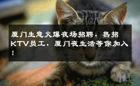 厦门生意火爆夜场招聘，热招KTV员工，厦门夜生活等你加入！